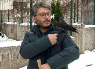 Doktorun Karga Dostluğu: Gülümseten Hikaye doktorun-karga-dostluu-glmseten-hikaye