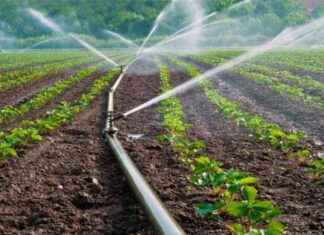 Tokat Sulaması Onarım İşleri: Cazibe ve Pompaj – 3 Kısım tokat-sulamas-onarm-ileri-cazibe-ve-pompaj-3-ksm