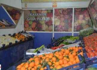 Tokat’ta Yeni Açılan En Taze Manav – Doğallığın Adresi tokatta-yeni-alan-en-taze-manav-doalln-adresi