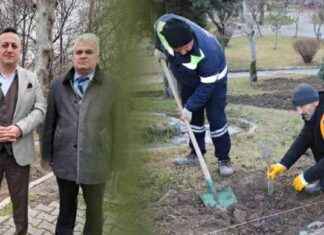 Turhal Belediyesi Lavanta Bahçesi Oluşturarak Estetik ve Ekonomik Katkı Sağlayacak turhal-belediyesi-lavanta-bahesi-oluturarak-estetik-ve-ekonomik-katk-salayacak