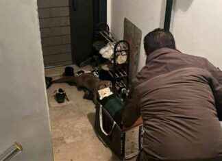 Yolunu Kaybeden Su Samuru Apartmana Girdi – Sokakta Kaybolan Su Samuru Hikayesi yolunu-kaybeden-su-samuru-apartmana-girdi-sokakta-kaybolan-su-samuru-hikayesi