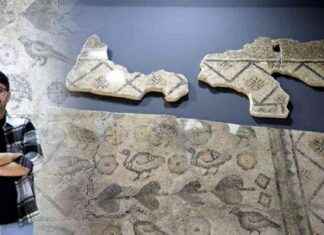 2 Bin Yıllık Mozaiğin Kalan Parçası Ahırdan Çıkarılmayı Bekliyor – Tarihi Keşif! 2-bin-yllk-mozaiin-kalan-paras-ahrdan-karlmay-bekliyor-tarihi-keif