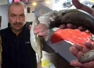 4 Saat Uzaklıktaki Dev Mezgitlerin Büyüleyici Boyutları 4-saat-uzaklktaki-dev-mezgitlerin-byleyici-boyutlar