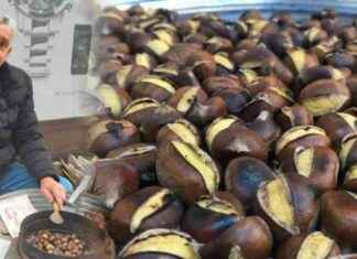 43 Yıldır Aynı Köşede Kestane Satışı: Başarı Hikayesi ve Stratejiler 43-yldr-ayn-kede-kestane-sat-baar-hikayesi-ve-stratejiler