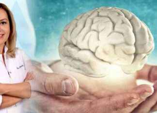 Beyin Sağlığı İçin 6 Etkili Önlem – Uzman Dr. Kağanoğlu Tavsiyeleri beyin-sal-iin-6-etkili-nlem-uzman-dr-kaanolu-tavsiyeleri