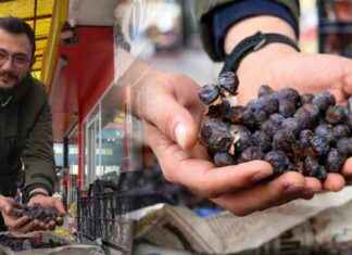 İki Yılda Bir Meyve Veren Ağacın Meyvesi ve Tüketimi iki-ylda-bir-meyve-veren-aacn-meyvesi-ve-tketimi