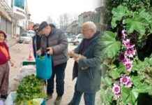 Niksar’dan Ebe Gümeçi Hikayesi ve Gelenekleri niksardan-ebe-gmei-hikayesi-ve-gelenekleri