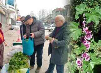 Niksar’dan Ebe Gümeçi Hikayesi ve Gelenekleri niksardan-ebe-gmei-hikayesi-ve-gelenekleri