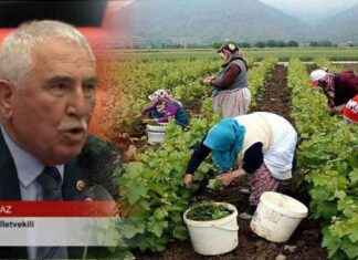 TBMM Genel Kurulu’nda Kadim Durmaz’dan Erbaa İlçesi ve Bölgesine Destek tbmm-genel-kurulunda-kadim-durmazdan-erbaa-ilesi-ve-blgesine-destek