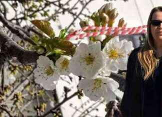 Yeni Yılda Gerçekleştirmek İstediğiniz Hedefler ve Öneriler – 85 characters yeni-ylda-gerekletirmek-istediiniz-hedefler-ve-neriler-85-characters