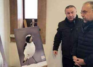 Zile Kuşları Fotoğraf Sergisi: Açılış ve Detaylar zile-kular-fotoraf-sergisi-al-ve-detaylar