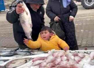 Çocuğun Balık Tutma Tutkusu Sevindirici Görüntüler Oluşturdu ocuun-balk-tutma-tutkusu-sevindirici-grntler-oluturdu