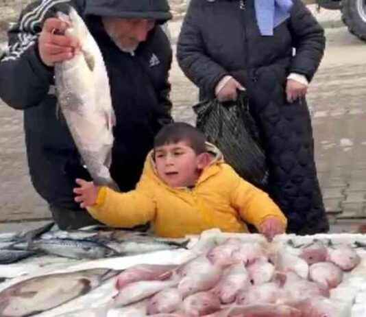 Çocuğun Balık Tutma Tutkusu Sevindirici Görüntüler Oluşturdu ocuun-balk-tutma-tutkusu-sevindirici-grntler-oluturdu