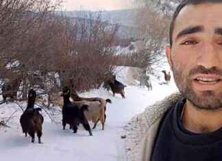 Tokatlı Çobanın Kış Mesaisi tokatl-obann-k-mesaisi