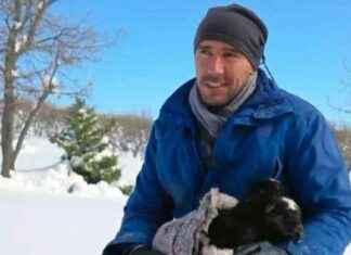 Yurtdışında Denenen Meslekler Memleket Çobanlığına Dönüşüm yurtdnda-denenen-meslekler-memleket-obanlna-dnm