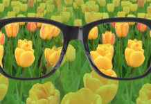 Renk Körlüğü Nedenleri, Belirtileri ve Tedavi Yöntemleri Renk Körlüğü Nedenleri, Belirtileri ve Tedavi Yöntemleri