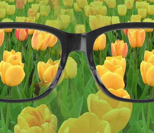 Renk Körlüğü Nedenleri, Belirtileri ve Tedavi Yöntemleri Renk Körlüğü Nedenleri, Belirtileri ve Tedavi Yöntemleri