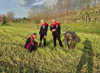 Tokat İl Tarım Müdürü Dolu Hasar İncelemesi tokat-il-tarm-mdr-dolu-hasar-incelemesi