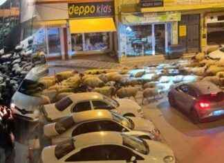 Tokat yayla göçü dronla izlendi tokat-yayla-g-dronla-izlendi