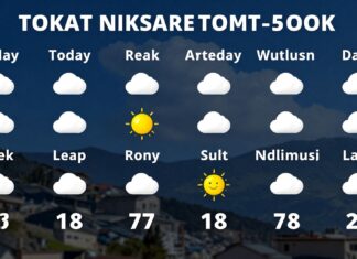 Tokat Niksar Hava Durumu: Bugün ve Gelecek 5 Günün Hava Tahmini